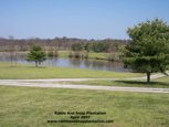 View From Carriage House